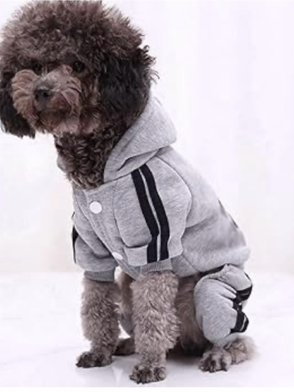 Gray Hooded Dog Tracksuit with Black Stripes